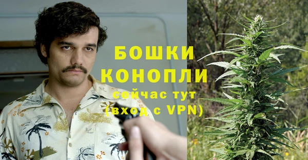 ALPHA-PVP Алексеевка