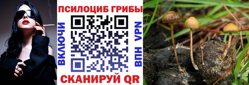 наркотики Бакал Галлюциногенные грибы GOLDEN TEACHER